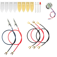 Fruit Battery Science Experiment Kit met elektronische klok en RGB LED voor doe-het-zelf thuisonderwijs speelgoed