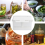 Pickle Container Rectangle Food Fermentation Storage Box for Home Kitchen Jar Airtight Keeper with Handle B 8