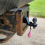 Funny Trailer Hitch Cover, 2024 New 3D Tiny with Nuts Hook Cover 1Pcs 7