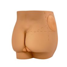 Anatomisches Modell des Simulators für intramuskuläre Injektionen des menschlichen Hüftgelenks, Punktion der Gesäßpflege, medizinische Lehrmittel