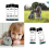 Pet Urine Testing Strips, 100 Urinalysis Parameter Tests for Dogs,Cats,Vets, Accurate Veterinarians 11