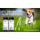 Pet Urine Testing Strips, 100 Urinalysis Parameter Tests for Dogs,Cats,Vets, Accurate Veterinarians 1