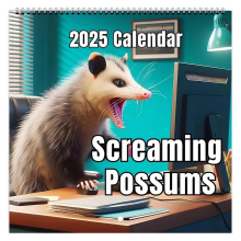 2025 Lustiger Screamings Possums Kalender, Dicker Papier Possum Kalender 12 Monate Planer, Gag Geschenk