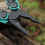Multi-Function Tool Folding Pliers Needle-Nosed Small Outdoor Emergency Survival Gadgets B 6