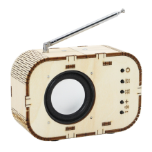 Esperimento scientifico Puzzle didattico in legno Autoassemblaggio Modello radio FM fai da te