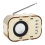 Science Experiment Wood Learning Puzzle Self Assembly DIY FM Radio Model 1
