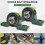 2 Pack UCP204-12 Pillow Block Mounted Ball Bearing - 3/4 Inch Bore Solid Cast Iron Base Self Aligning 6