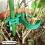 24pcs Stump Support Straps, Garden Stake Connectors, Tree Straps for Stakes, Stumps 7