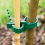 24pcs Stump Support Straps, Garden Stake Connectors, Tree Straps for Stakes, Stumps 5