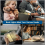 Mini Light Reading Clip Book Rechargeable Bookmark LED Portable Bedside Table Lamp,A 6