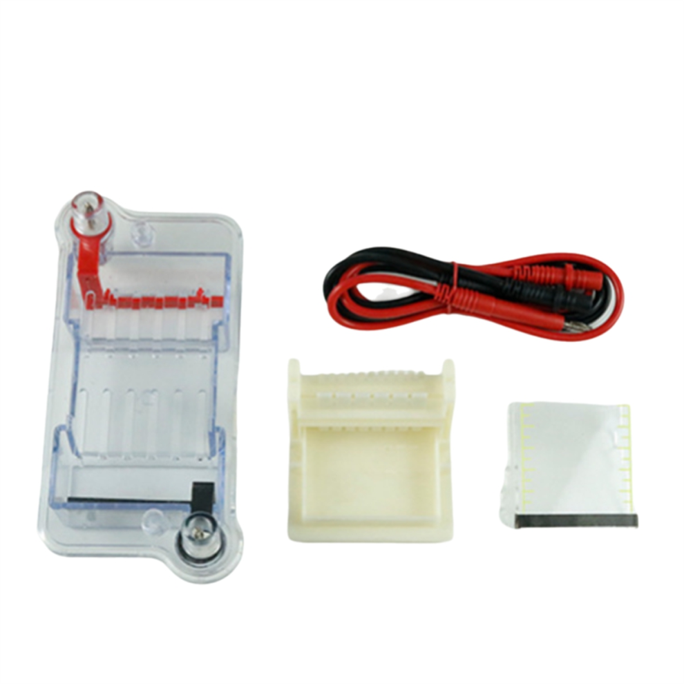 Vasca Per Elettroforesi Orizzontale Strumento Biologico Separazione Molecolare Insegnamento