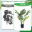 6pcs Plant Stem Support, Metal Monstera Holder Support Design Bamboo Clamp Set 5