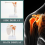 Medical Shoulder Anatomy Model with Functional Ligaments, Joint for Teaching Display 6