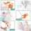 Medical Shoulder Anatomy Model with Functional Ligaments, Joint for Teaching Display 4