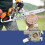 Vergaser Tune Up Kit für MS231 MS231C MS231Z MS251 MS251C MS251CBE MS251C- MS251Z Kettensäge Teile 8