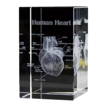 Crystal Heart Model Cube 3D Laser Engraved Anatomical Figurines Medical Science Souvenir Gifts Decoration Paperweight