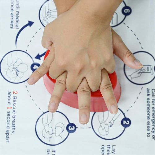 Mini Hexagon Shaped First-Aid Training Teaching Tool Body Medical Dummy -Training Kit Manikin Model 2