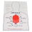 Mini Hexagon Shaped First-Aid Training Teaching Tool Body Medical Dummy -Training Kit Manikin Model 2