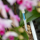Aquameter, 5pcs, Plant Soil Moisture Sensor,House Meter, for Indoor Potted Plants (Medium) 7