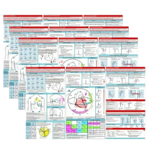 Guida tascabile per ECG Scheda di interpretazione ECG Layout orizzontale e verticale Riferimento compatto per uso ospedaliero