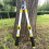 Gardening Fruit Tree Pruning Shears Long Pruner Branch Stretchable Garden Steel Scissors 6