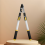 Gardening Fruit Tree Pruning Shears Long Pruner Branch Stretchable Garden Steel Scissors 4