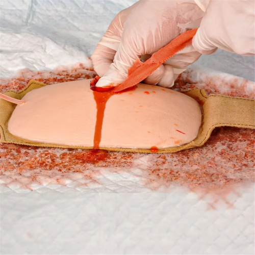 New Wearable Haemostatic Wound Packing Trainer Kit Hemostasis Model Trauma Module 2
