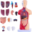 Human Anatomy Study Models - 15-Piece Removable 11-Inch Torso Model with Internal Organs for Students 2