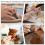 Pottery Trimming Tools,Versatile Clay Toolsm Supplies,Fine Workmanship Prune Tools for Pottery,Dedicated Sharpening 6