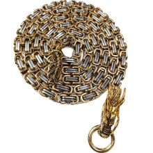 Collana in metallo con catena a frusta in acciaio inossidabile e titanio con spina dorsale di drago da esterno