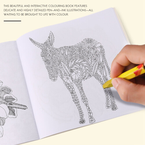 Libro da colorare e dipingere sul regno animale per bambini e adulti 2