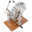 Static Machine Physics Electrostatic Generator Electrical Equipment Science Education 1