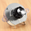 Generator Air Purifier Timer Control Equipment Accessories 8