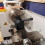Lathe Tool Holder, Change Set for Metal Post 1/2inch Turning Tools, 250-000 Mini 3