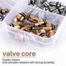 40Pcs Klimaanlage A/C Ventil Core R12 R134A Stem Kerne Remover-Tool für Auto, Auto