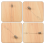 Lot de 5 ressorts pour régulateur Stratton 699056 10