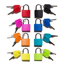 8 Pack Locks Small Padlock with Key Luggage Gym Locker Lock Mini Colorful for Outdoor School Home A