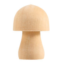 18 stuks onafgewerkte houten paddenstoel, 6 maten natuurlijke paddenstoelen voor kunst- en knutselprojecten en decoratie