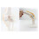 Knee Joint Simulation Model Anatomy Human 1:1 Life Size 5
