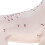 Modèle anatomique de chien, acupuncture, anatomie, points du corps avec étude en 72 points 3