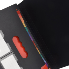 Documentenorganizer met 13 vakken, uitbreidbare map, nettas en kleurenlabel, maandelijkse factuur, bon A4-formaat