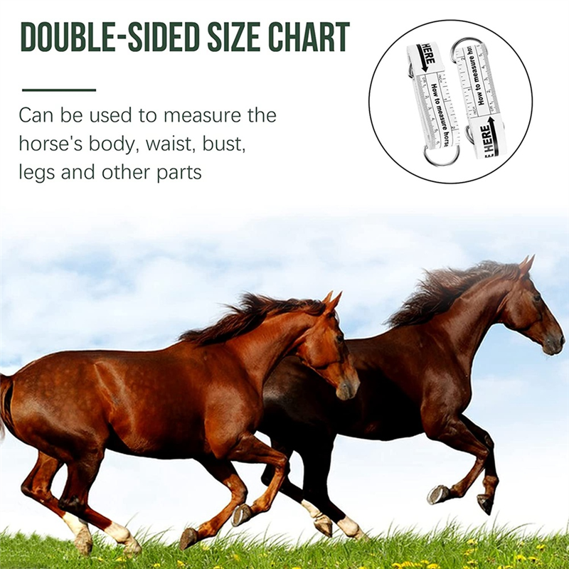 Bâton De Mesure Pour Cheval - Ruban Poids Et Hauteur En PVC - NEUF (SODIAL)