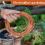 2 Rolls Soft Copper Wire Solid Bare Bendable for Electroculture, Jewelry Making (12 Gauge 52.49Feet Per Roll) 9