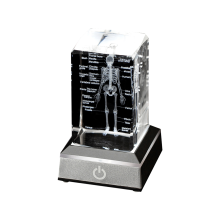 Menschliches Skelettmodell, Anatomie-Geschenk, Kristall, medizinische Statue, Knochen, Arztartikel für Medizinstudenten