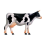 Modèle d'anatomie d'organe animal 4D Vache Intelligence Jouet à assembler Enseignement Assemblé 4