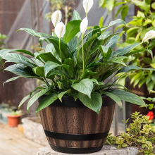 Vasi da fiori, vasi in plastica per whisky, design imitazione vino, per piante da giardino (3 pezzi), 30 cm