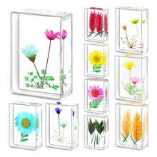 Bloem in harsmonster 10 stuks geperste presse-papiers, voor wetenschappelijke educatieve displays voor kinderen