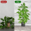Moss Stake for Climbing Plants Plant Support Reinforcement Angle Design Stakes 7