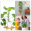 Moss Stake for Climbing Plants Plant Support Reinforcement Angle Design Stakes 9