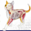 Modèle d'anatomie d'organe animal 4D, intelligence du chat, jouet à assembler, enseignement, appareils électroménagers 5